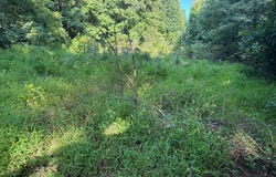 Tba Meadow Run Lane, Hillsville, VA 24343