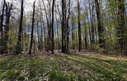 2154 Flame Lake Drive, Roaming Shores, OH 44084