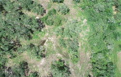6962 County Road 604 lot: 10-D, Skidmore, TX 78389