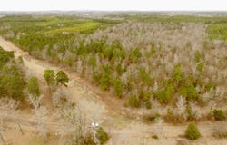CR 2307 BEASLEY RD, Lone Star, TX 75668