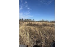 1031 Scott S Store (60 Acres), Millen, GA 30442