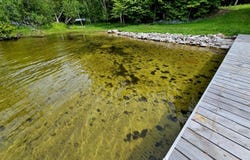 Needle Pointe Rd, Germfask, MI 49836
