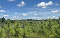 Co Rd 75, Cruger, MS 38924