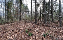 3.16 acres Lot 77, 1712 Round Mountain Parkway unit: 77, Lenoir, NC 28645