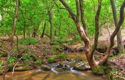 120 Twisted Pines Crossing, Dahlonega, GA 30533