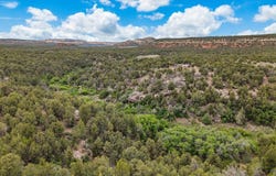 Tbd S 9 8/10 Road, Glade Park, CO 81523