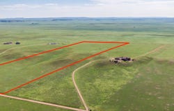 20560 Cattle Dr, Wellington, CO 80549