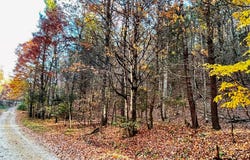 Lot 11 Griffith Knob Lane, Wytheville, VA 24382