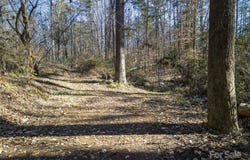 99999 Monticello Road, Weaverville, NC 28787