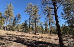 3461 W Black Oak Loop, Show Low, AZ 85901