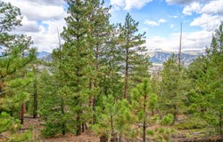 0 Windham Drive, Estes Park, CO 80517