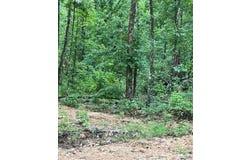 70 Madison CR 410, Fredericktown, MO 63645