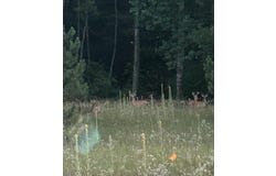 Tbd Pierce Road, Stanwood, MI 49346