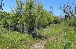 Tbd 100 acres CR 343, Merkel, TX 79536