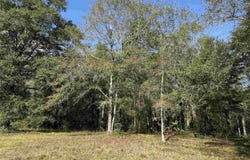 Hwy 95 A, Cantonment, FL 32533