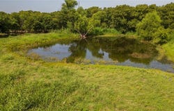 Tbd Nw Cr 4160 & 4150, Frost, TX 76641
