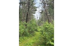 4901 S Spruce Avenue, Newaygo, MI 49337