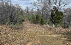 Lot 295 Pinemont Drive, Kingsland, TX 78639