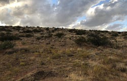 11900 E Bareback Lane, Cornville, AZ 86325