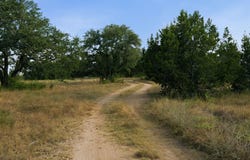 TBD Lot 42 Stockyard Rd, Bertram, TX 78605