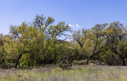 NW Hwy 16, Medina, TX 78055