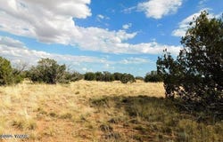 6251 Dry Pasture Run Lot 216, Heber, AZ 85928