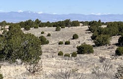 Turquoise Drive lot: 3, Sandia Park, NM 87047