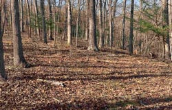 3825 Buck Mtn. Ridge, Blacksburg, VA 24060