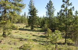 5 Sky RD, Goldendale, WA 98620