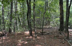 Lot 18 Larue Lane, Ellijay, GA 30540