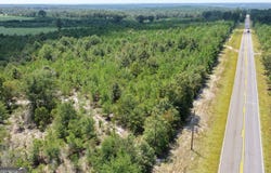 39.317 Ronnie Road, Buena Vista, GA 31803