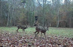 0 KY Hwy 1952, Columbia, KY 42728