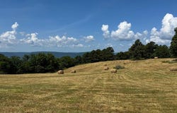 TBD Sky Island  DR, Mt Judea, AR 72655