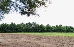 Cooper lot: 8, Picayune, MS 39466