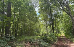 TBD MOUNT PISGAH CHURCH DR, ORANGE, VA 22960