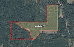 Smith County Rd 559, Pulaski, MS 39152