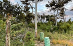 3019 Cedar Island Rd, Cedar Island, NC 28520