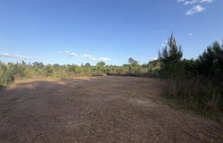 6.2 Acres Mt Bethel Rd, Sandy Hook, MS 39478