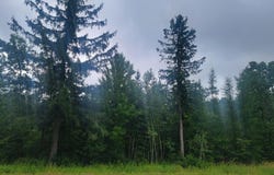 N4651 PENNINGTON RD, Prentice, WI 54556