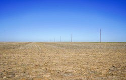 000 CO RD 31, Syracuse, KS 67878