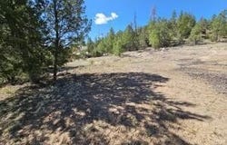 3326 Black Canyon Road, Heber, AZ 85928