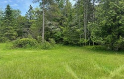 N8389 Old Mill 20.75, Cedar River, MI 49887