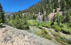 Nkn Rainbow Lane, Shoup, ID 83469