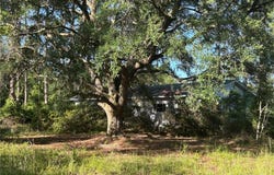 375 Eston Prescott Road, Folkston, GA 31537