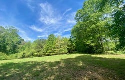 Moaks Creek Road, Summit, MS 39666