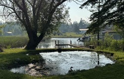 7386 Cheboygan Street, Alanson, MI 49706