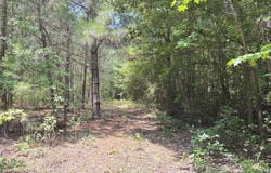 Lot 25 Buckhorn Church Road, Como, NC 27818