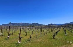 510 Oliva Dr, Hayfork, CA 96041