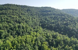 0 Sawmill Hollow RD, Williamsburg, KY 40769