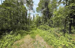 TBD Samuelson Road-Sec22, Angora, MN 55703